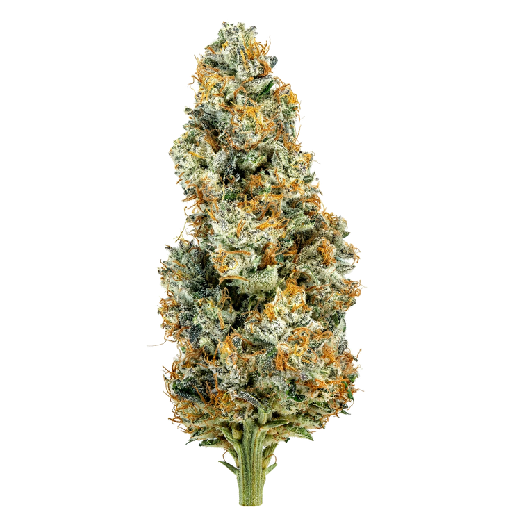 Lemon Peel flower