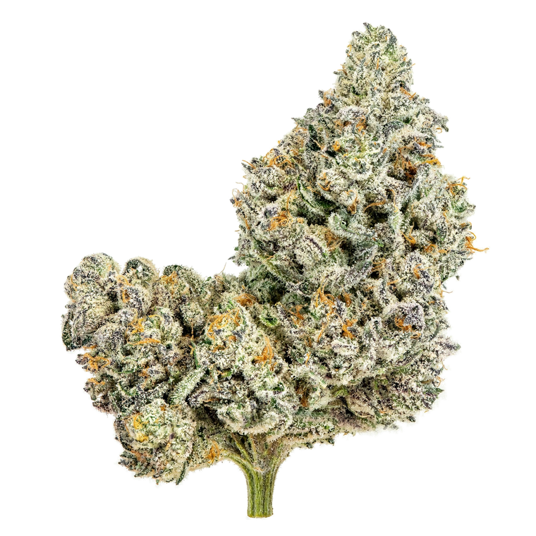 Lobstah Budda flower