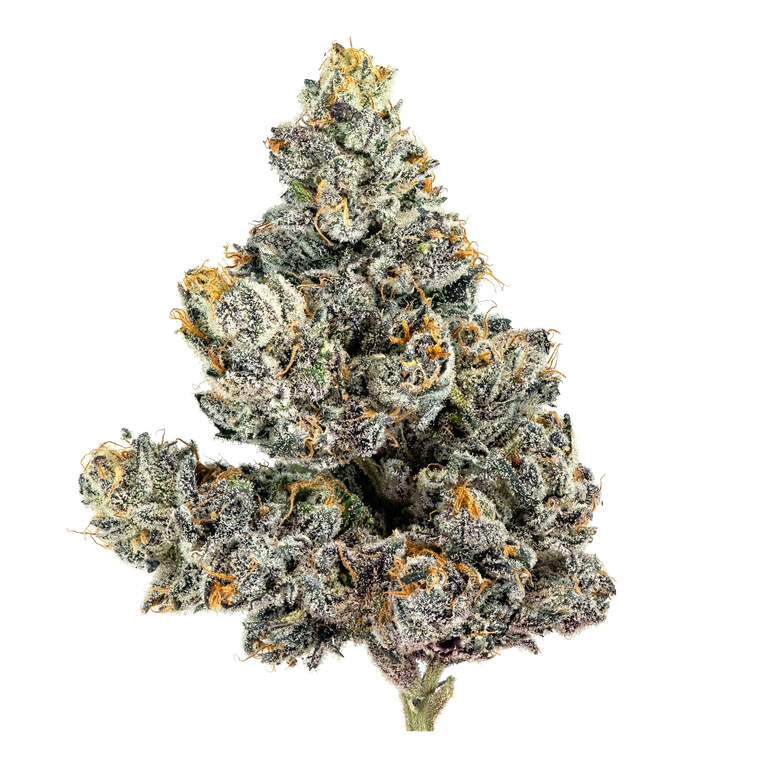 Shade Tree flower